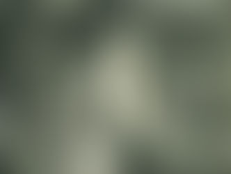 As jornalistas que vieram antes de nós