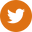 twitter-logo-button (1)