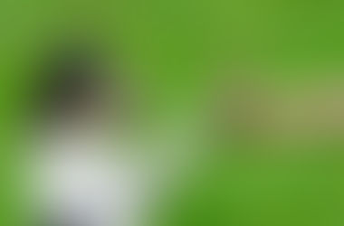 COMO CUIDAR A TUS MASCOTAS