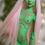 Thumbnail: Little Elf Lori (Pistachio)