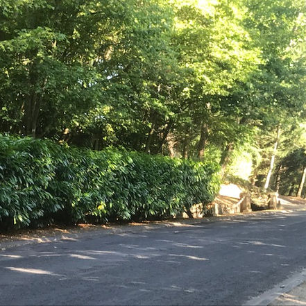 Le bonheur est sous nos pieds