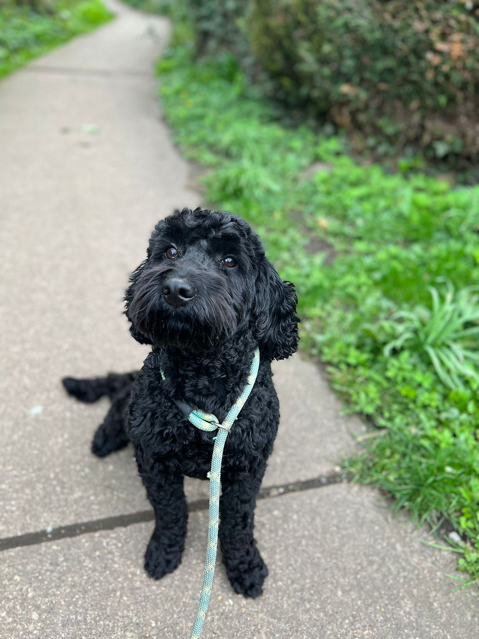 99444ed6-ace1-427f-9e2d-78a23b6d5026