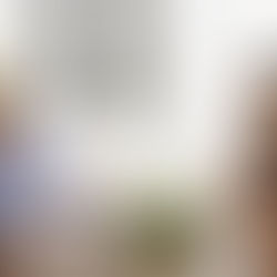 Carolina Moisés se reunió con la Presidenta de la Cámara de Diputados de la Nación.