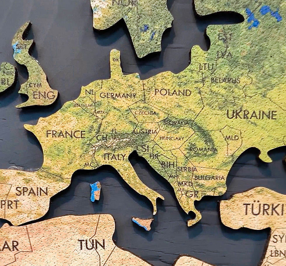 Thumbnail: 3D Cork Push Pin Map | Geo Optic Labelled | 36" x 20"