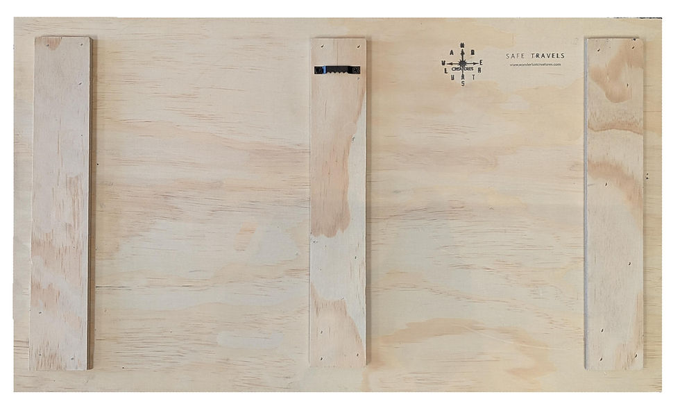 Thumbnail: 3D Cork Push Pin Map | Natural Cork | 24" x 14"