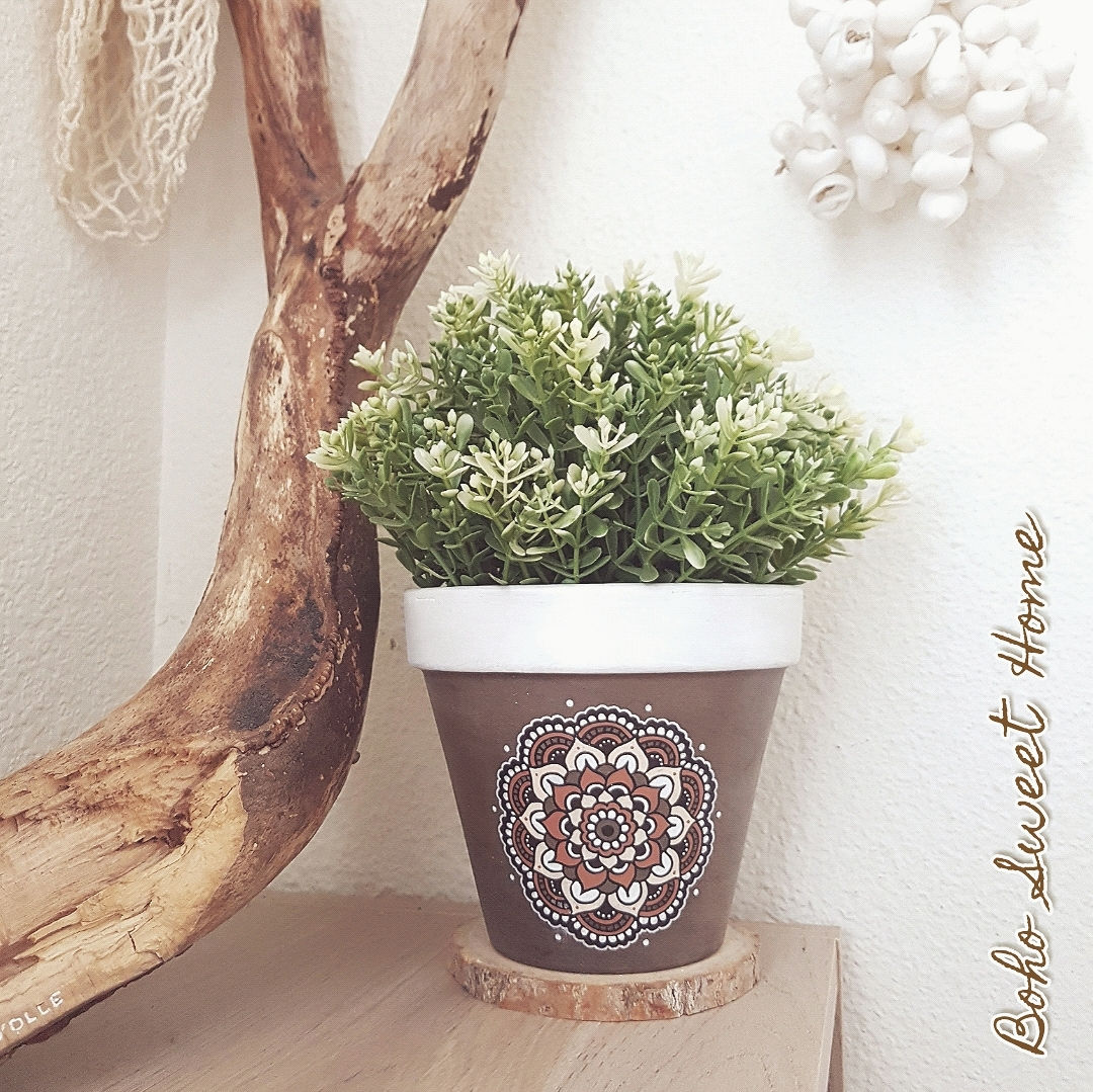 Cache-pot ø12cm ✦ 𝐇𝐈𝐍𝐀𝐑𝐈