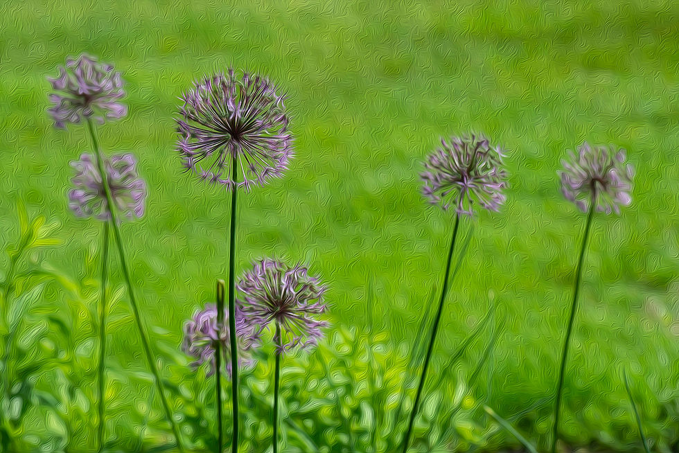 22061205