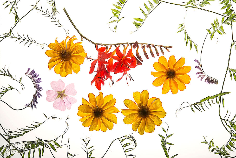Floralies