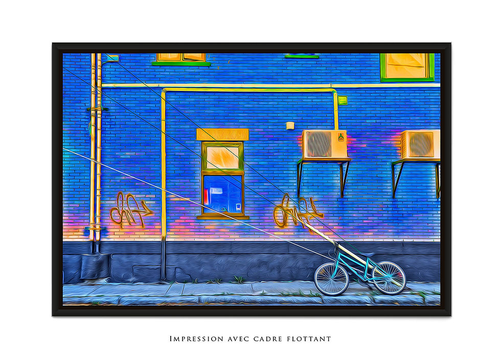 Miniature : Vélo bleu