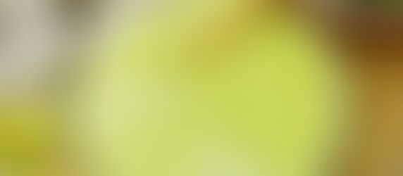 Creamy Cilantro Lime Vegan Dressing