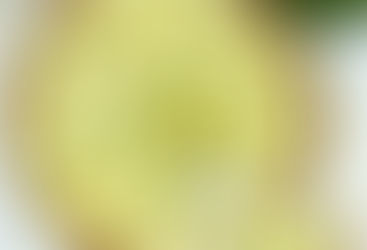 Healthy Zucchini Cheese Tart (low carb, grain free)