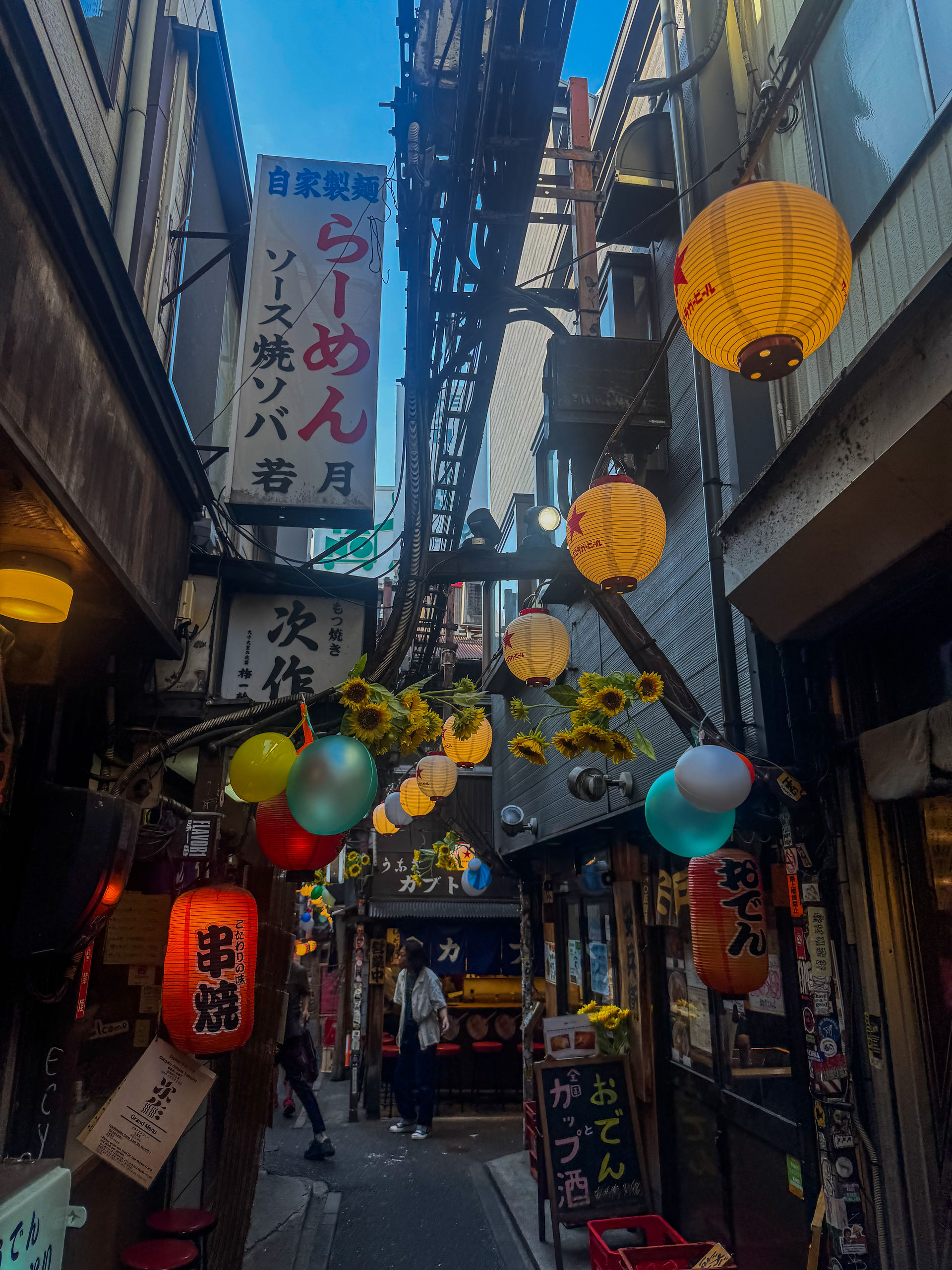 Omoide Yokocho, "Memory Lane"  A narrow alley full of lively restaurants and bars.