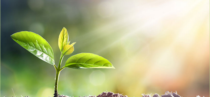 You Can Become A New Creation