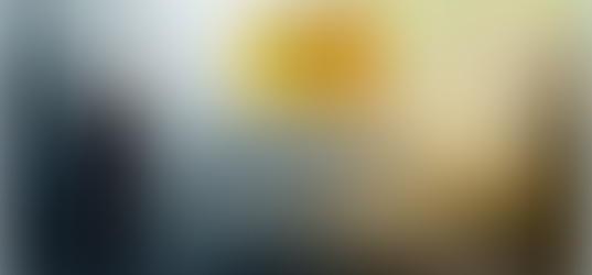 You Cannot Train The Flesh