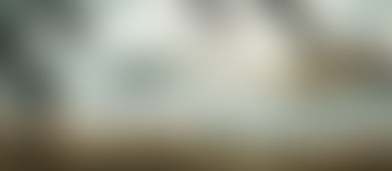 What History Will Say About America Someday 