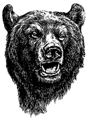 foundbear.gif