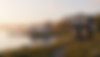 visionpage.png