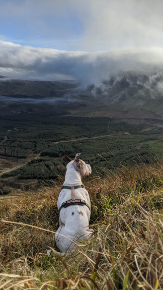 Benwiskin, Darty Mountains, Sligo