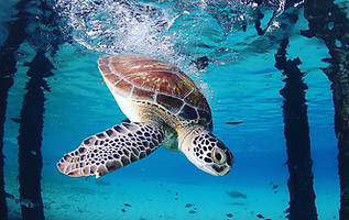 213285146_202756595185266_8482299420075824940_n_edited.jpg