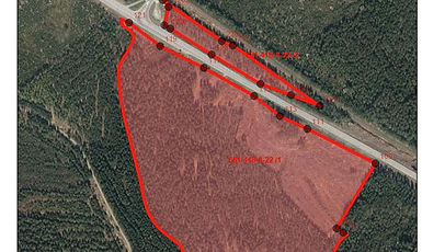 Metsäpalsta Rantasalmi