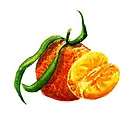 fruit-31-clementine-detoure.webp