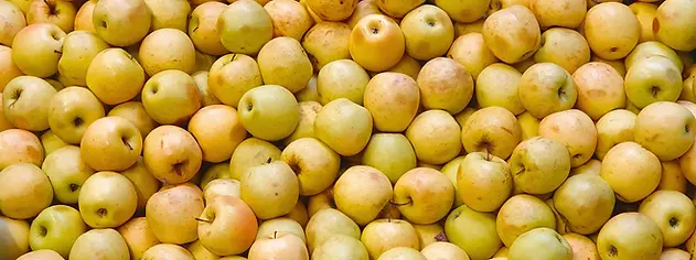 pommes-bio-compotes-le-mas-de-larmandine.webp