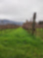 IMG_20220131_125424.jpg