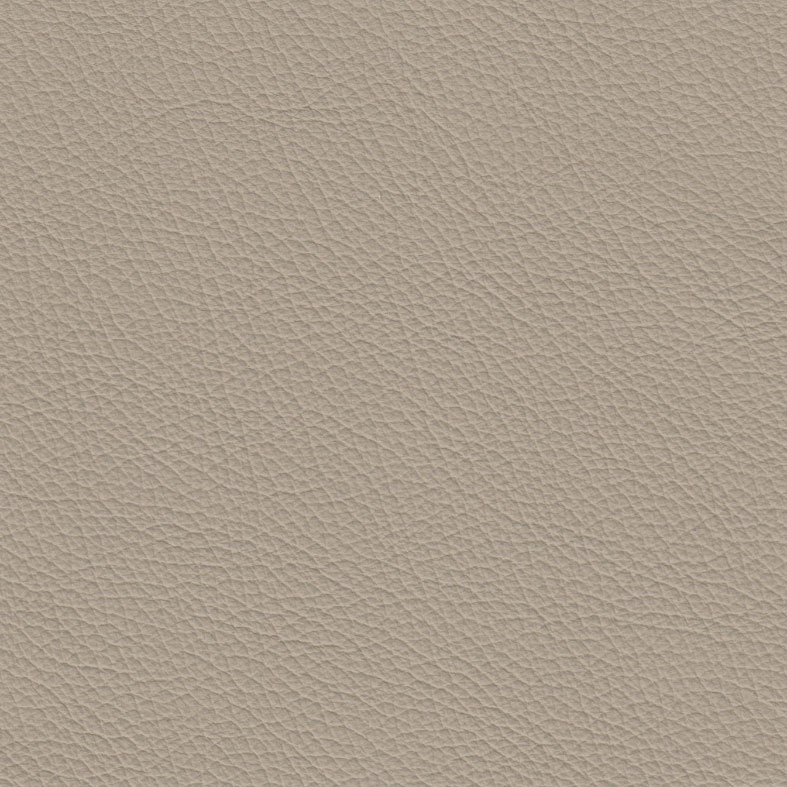 Swatch Upholstery Empire Panini