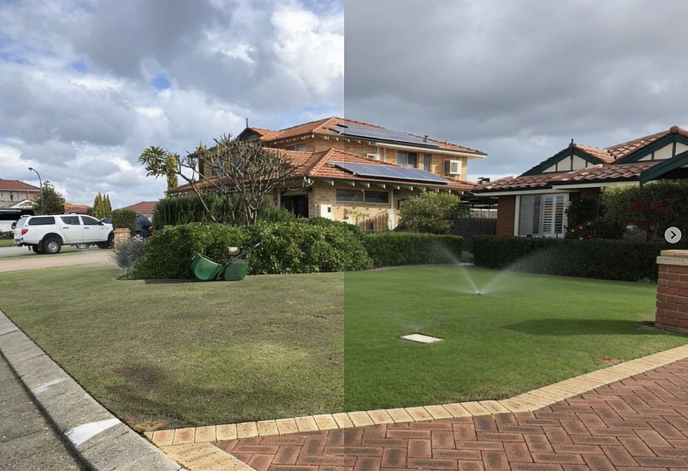 Before and after lawn transformation in Perth showing a patchy winter lawn restored to lush, dense turf through professional lawn care by Positively Green.