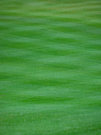 Freshly prepared, lush green lawn at Heidelberg Estate in Bickley, ready to host a family wedding an