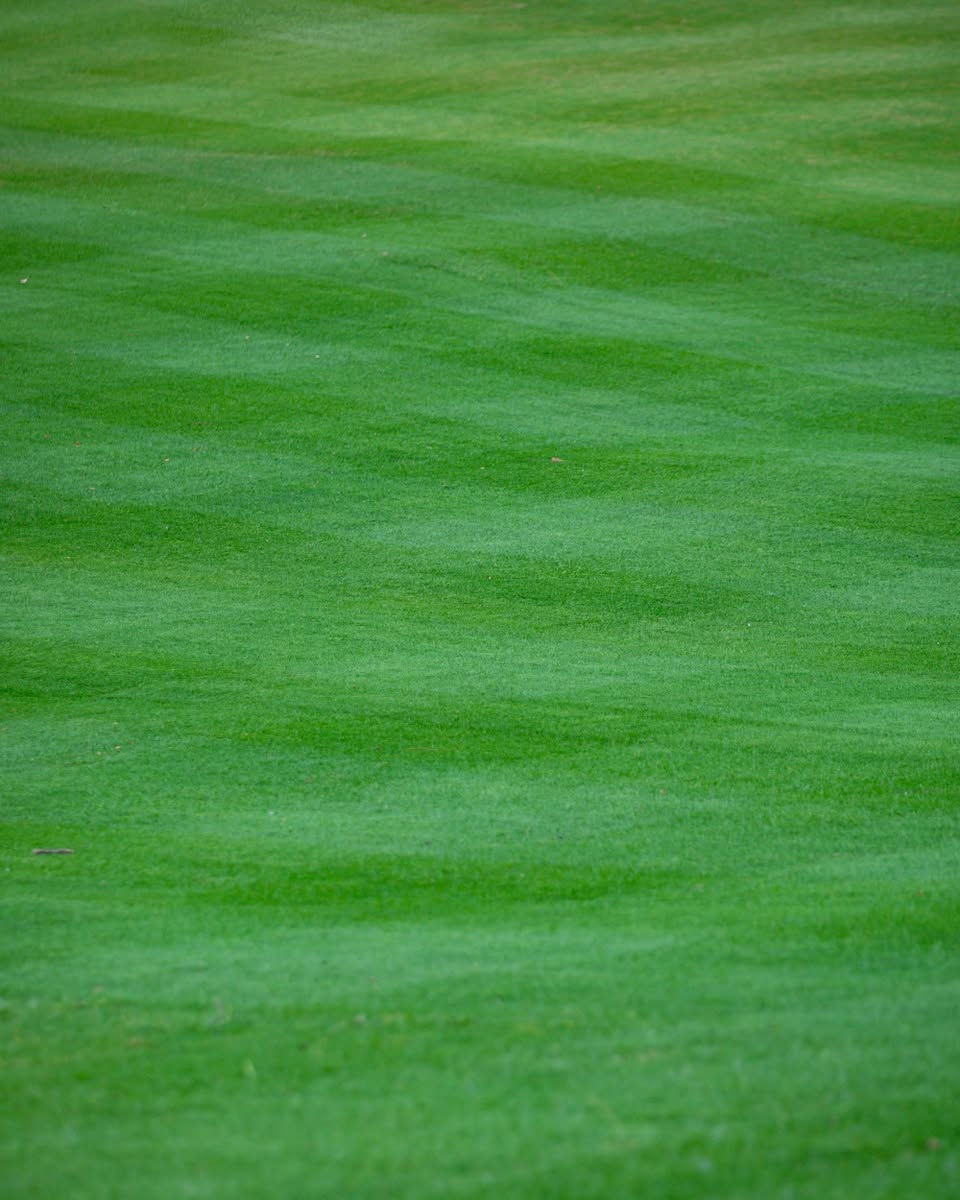 Freshly prepared, lush green lawn at Heidelberg Estate in Bickley, ready to host a family wedding an