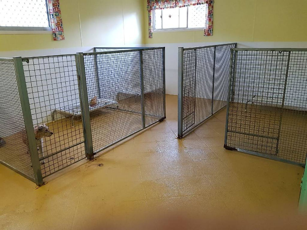 Little Dog Nursery Complex photo