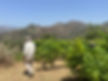 IMG-20231016-WA0079.jpg
