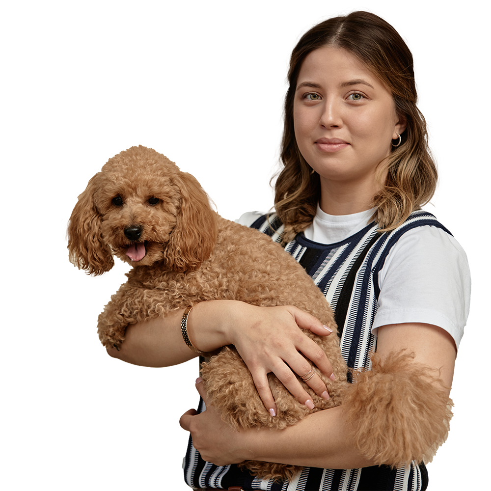 Young woman holding a poodle