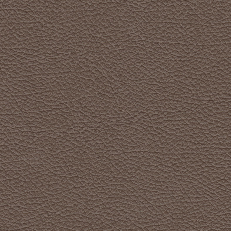 Swatch Upholstery Empire Panini