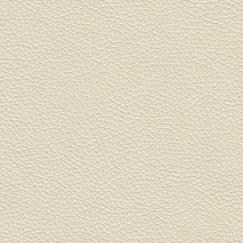 Swatch Upholstery Empire Panini