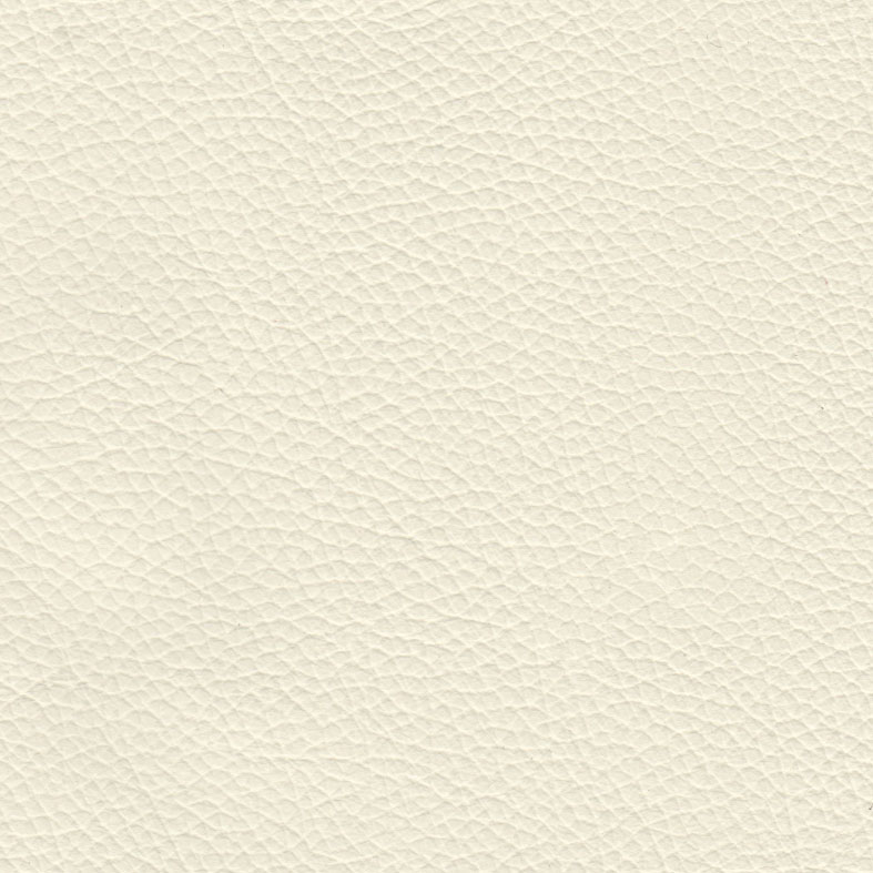 Swatch Upholstery Empire Panini