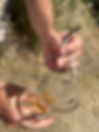 IMG-20231016-WA0067.jpg