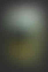 Tar and Glue Remover - 5l (Car)