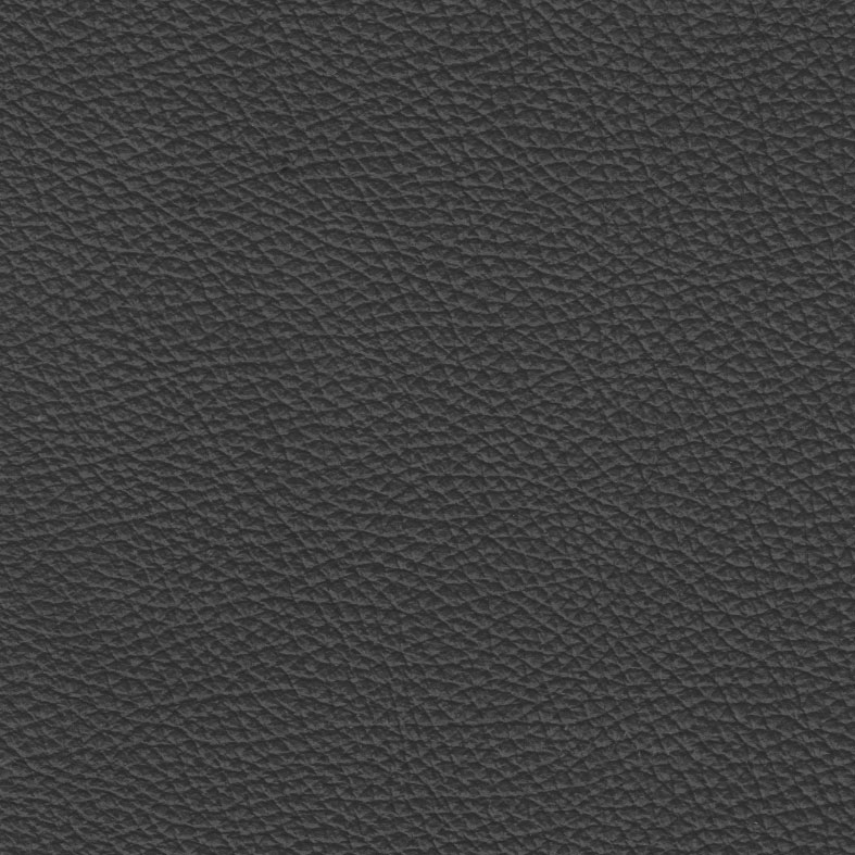 Swatch Upholstery Empire Panini