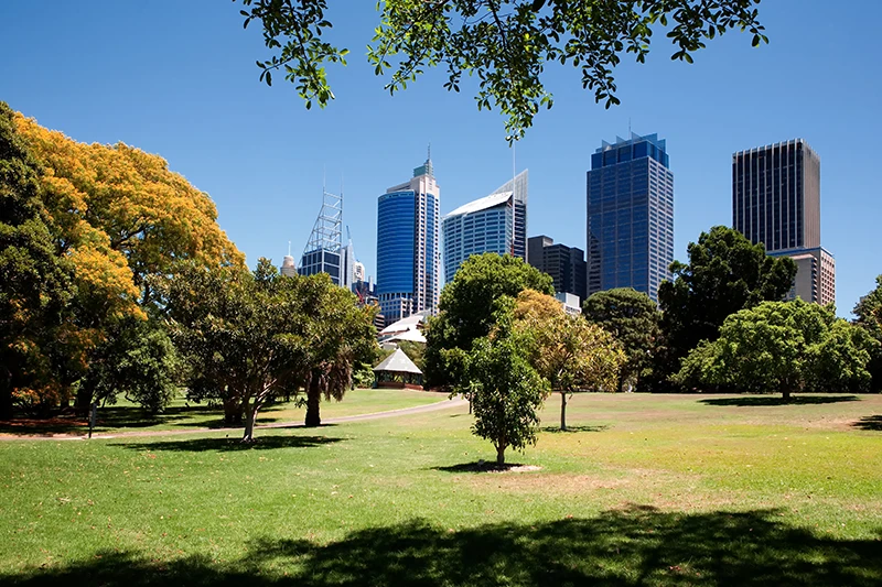 a park with trees and buildings in the background