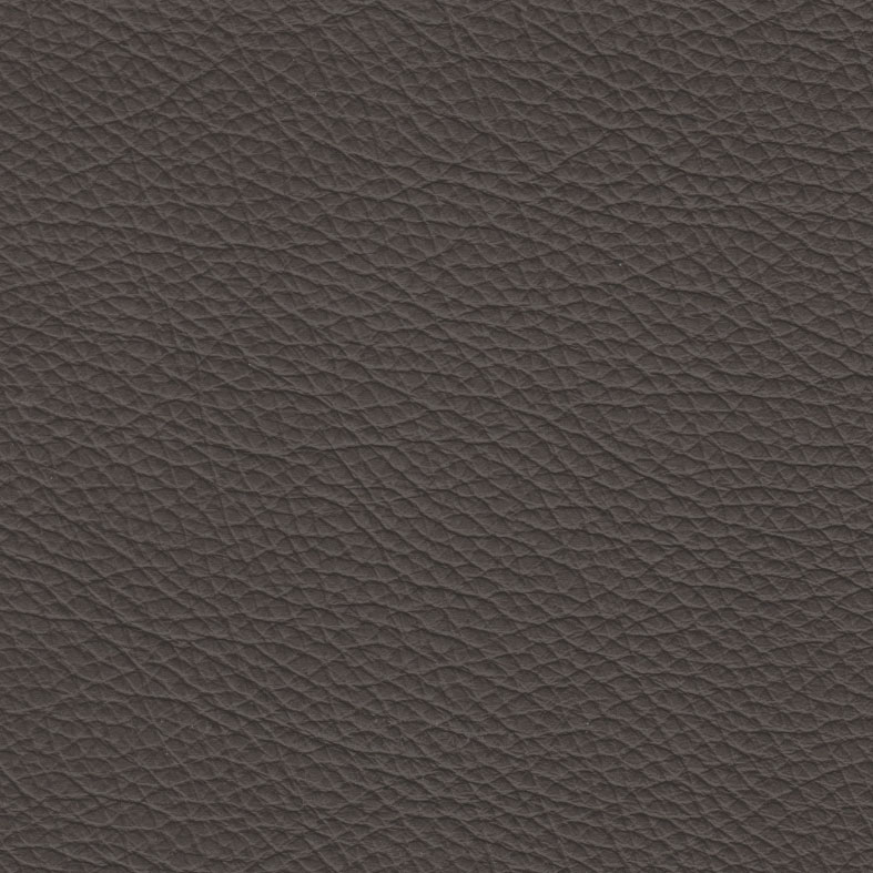 Swatch Upholstery Empire Panini
