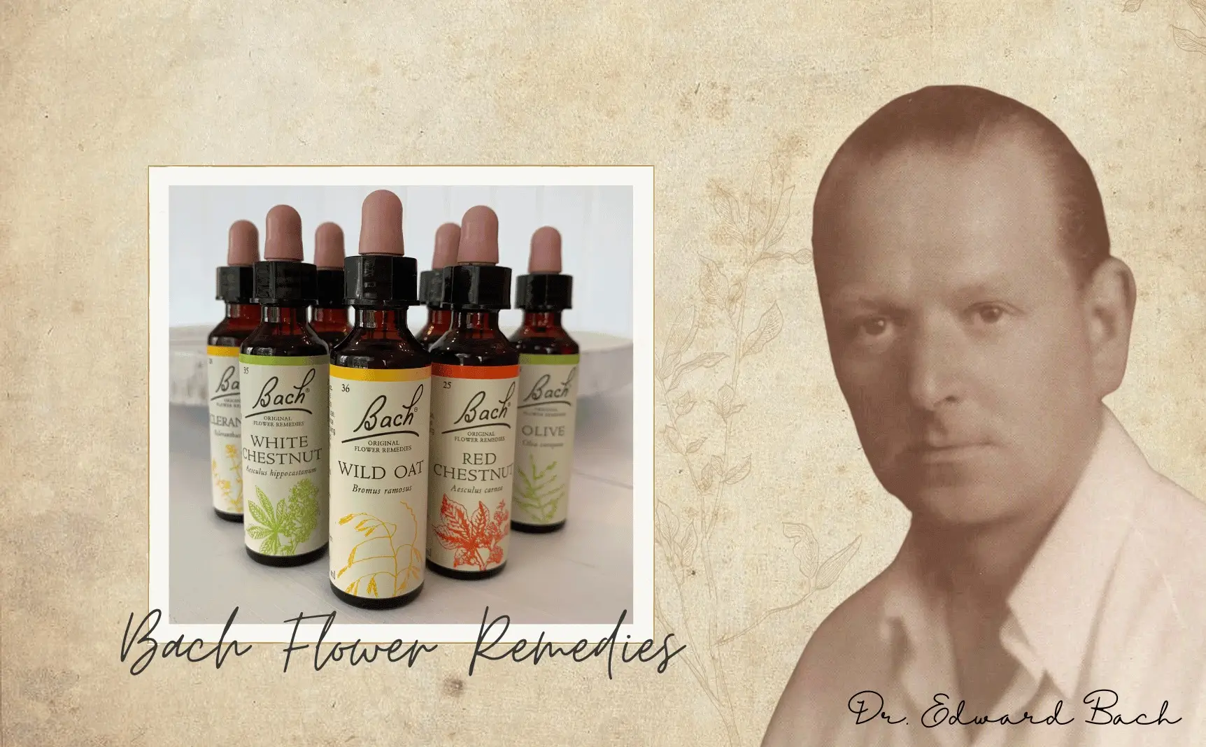 Dr. Edward Bach