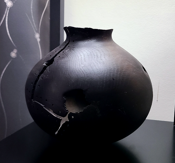 Vessel in the Living Room