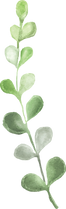 18.png