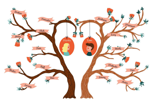 family-tree.webp