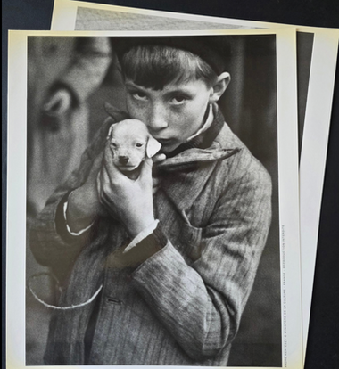 André Kertész (1894–1985) - 2 tirages rares : Marché aux animaux, Paris, 1928 - Metropolitan Museum, New-York 1936.