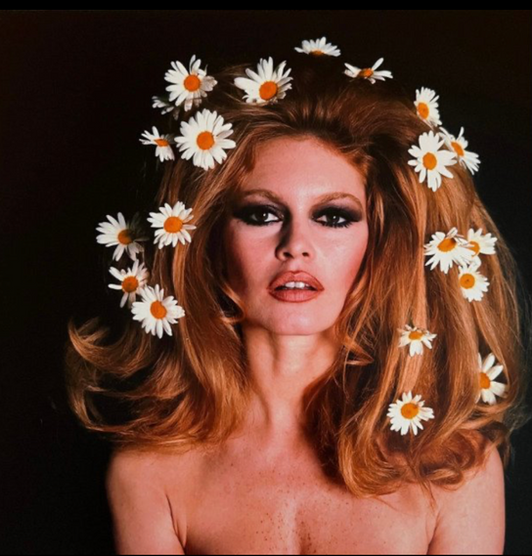 Ghislain Dussart - "Les Marguerites II"