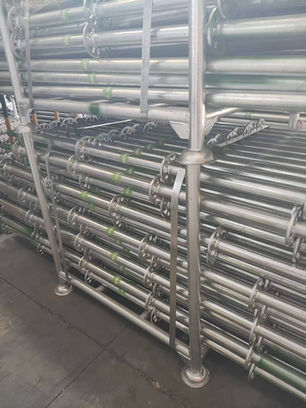From First Container to Procurement Partnership: A Dunedin Scaffolding Business Scaling Smarter