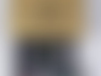 DEEP SEA DSE 7420 GENERATOR 